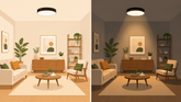 Why Do Lamps with the Same Wattage Have Different Brightness?
