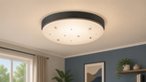 What to Do If Insects Get Inside a Light Fixture? Simple Cleaning and Prevention Guide