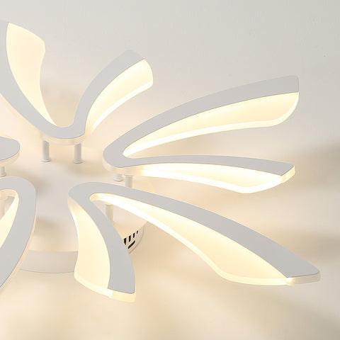 Détail du plafonnier