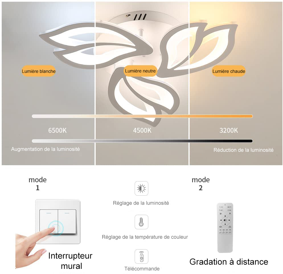 Schéma des effets d'éclairage au plafond
