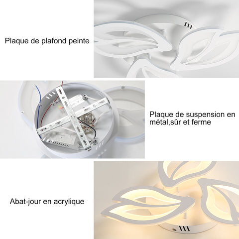 Détails du plafonnier