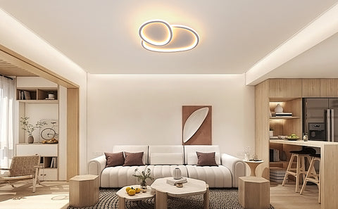 Plafonnier LED Moderne Dimmable en Forme de Galet - Blanc, 50*45.5*6.5cm, avec Télécommande, trois couleur de lumière, 220V - pour le Salon, la Chamb