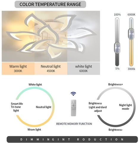 Diagramme de l'effet lumineux du plafonnier