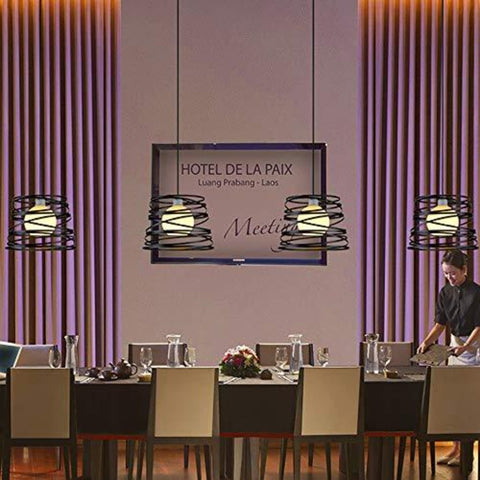 Lustre Suspension Industrielle Rétro, Vintage Plafonnier industriels en spirale design Ø30cm, Lampe de Plafond en Métal E27 Corde Ajustable Décoration, Noir (sans ampoule)