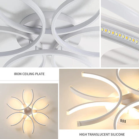 Détail du plafonnier