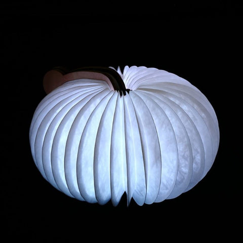 Lampe pliable en forme de livre - Lampe de nuit pour enfant - Lampe portable en papier - 7 couleurs - Chargement USB