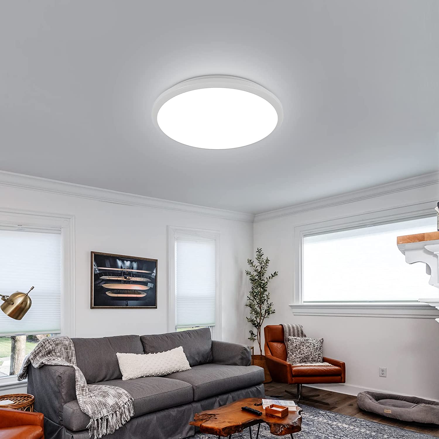 Plafonnier LED Rond, Lampe de Plafond pour Salle de Bain