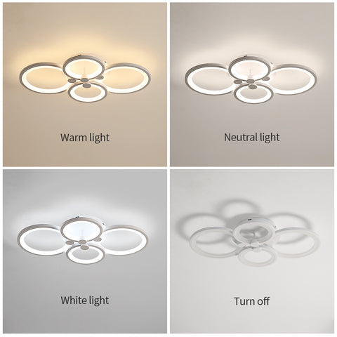 Image d'effet d'éclairage de Plafonnier